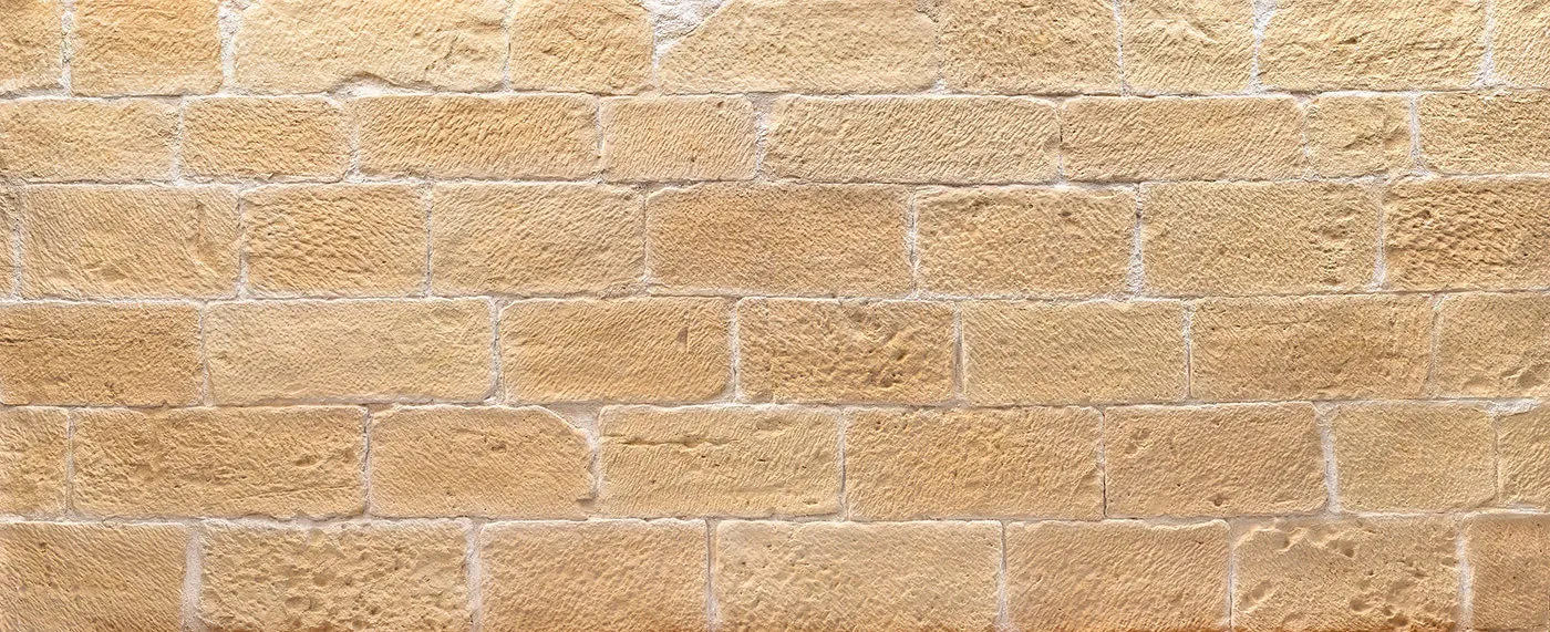 header banner image
