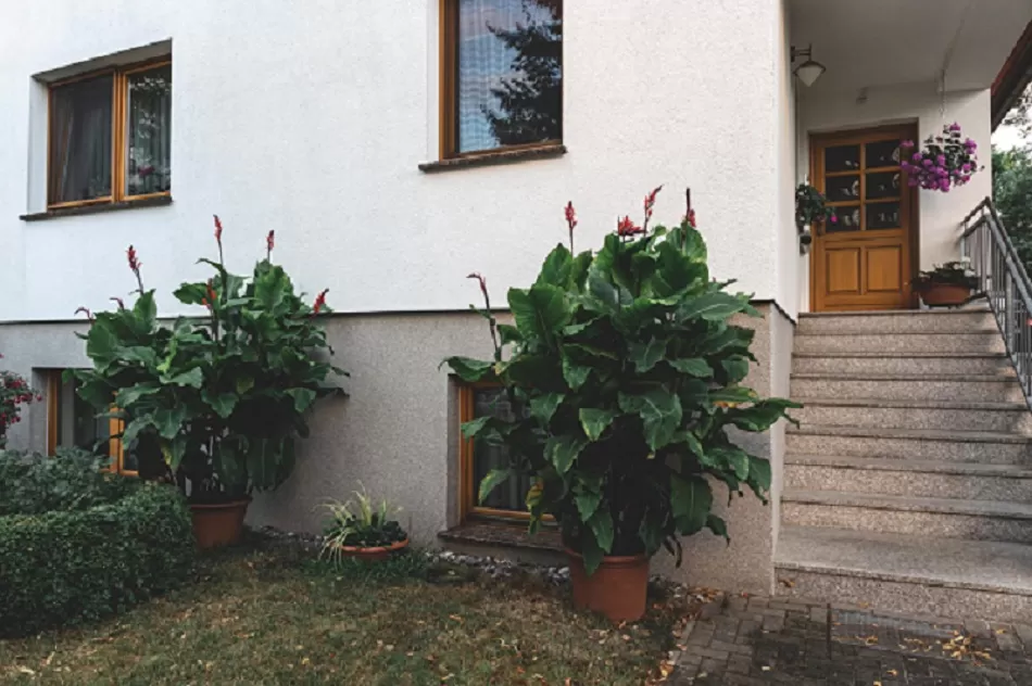 soubassement mur extérieur