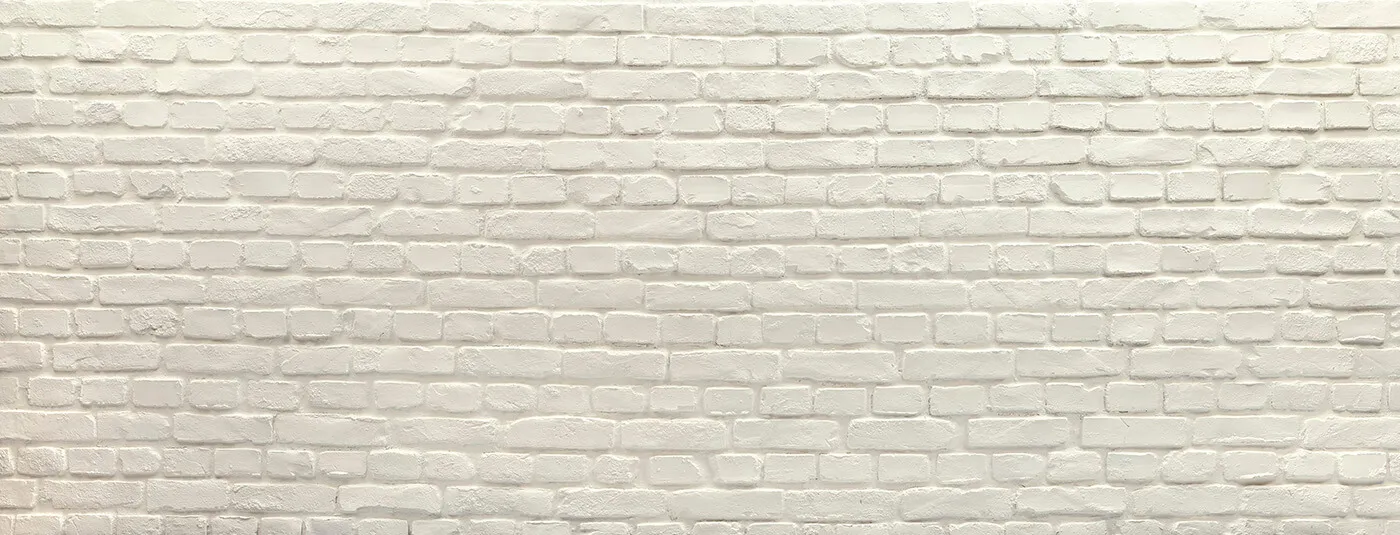 header banner image