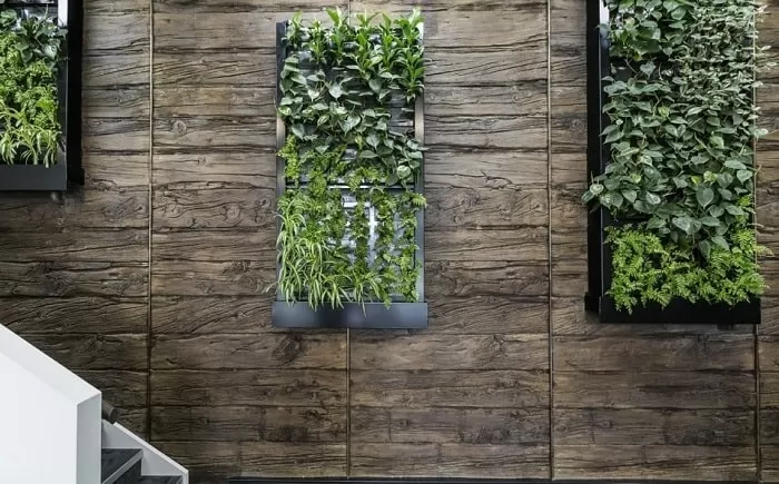 bois mural