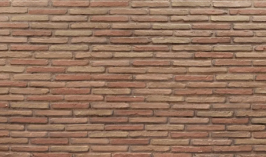 Multicolore foncé