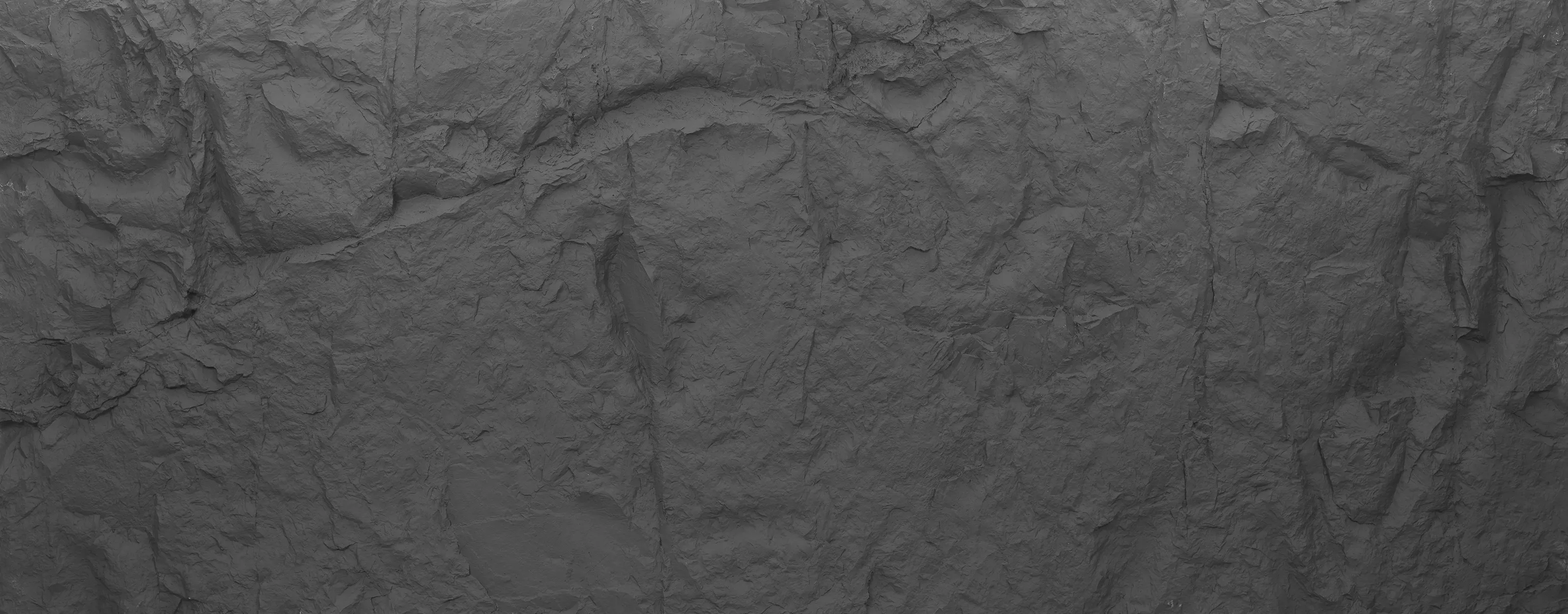 header banner image