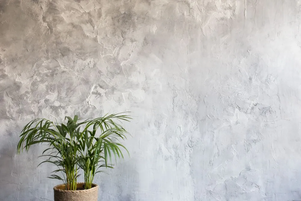 Une plante verte dans un pot de corde sur une texture grise