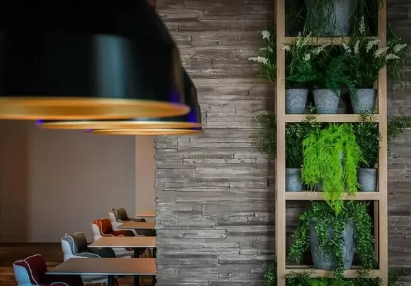Mur intérieur en pierre
