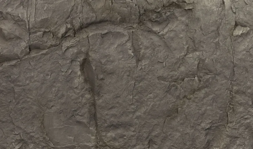Anthracite